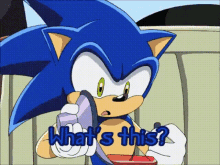 Sonic X Whats This GIF - Sonic X Whats This What Is This GIFs
