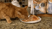 Cat Pizza GIF - Cat Pizza Eating Pizza GIFs