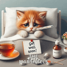 a cat with a thermometer in its mouth is laying in a bed with a sign that says get well soon the marshalls
