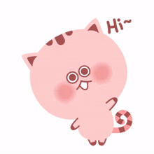 cute cat animal pink hello