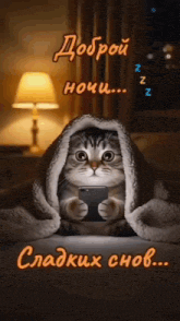 a cat is sitting under a blanket with a cell phone .