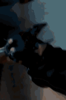 a blurred image of a dog laying on a table