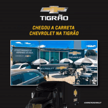Cars Tigrao GIF - Cars Tigrao Showing GIFs