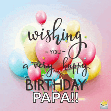 a birthday card that says wishing you a very happy birthday papa !!