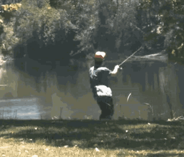 Fly Fishing GIFs | Tenor