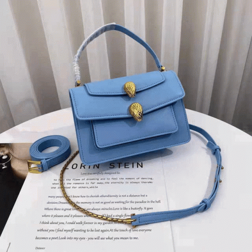 Replica Luxury handbags sharing~High Quality
