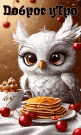 an owl sits on a table with pancakes and cherries