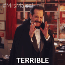Terrible Abraham Weissman GIF - Terrible Abraham Weissman The Marvelous Mrs Maisel GIFs