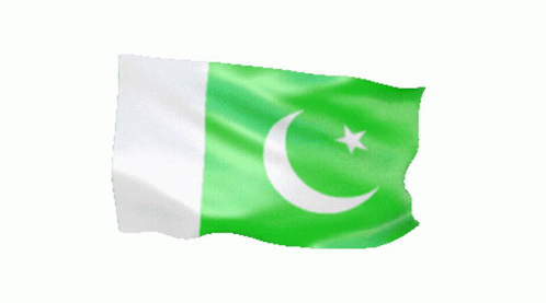 Pakistan Flag Sticker - Pakistan Flag - Discover & Share GIFs