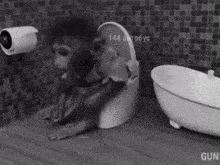 a monkey sits on a toilet next to a bathtub with gun written on the bottom