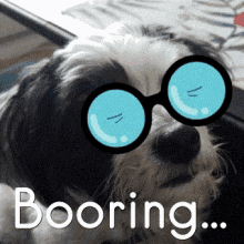 Boring Dog GIF - Boring Dog GIFs