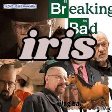 Iris Breaking Bad GIF