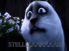 a cat with a surprised look on its face and the words stelllaaaaa written below it