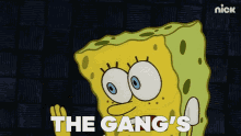 The Gangs All Here Spongebob GIF