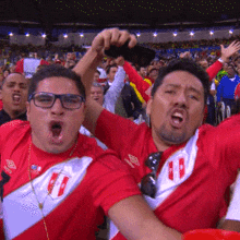 Hinchas Federación Peruana De Fútbol GIF - Hinchas Federación Peruana De Fútbol Festejo GIFs