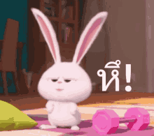 Bunny Cute GIF - Bunny Cute Mad GIFs