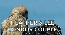 a couple of eagles standing next to each other with the words `` heather & lee condor couple '' written on the bottom