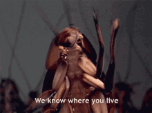 We Know Where You Live Cockroach GIF