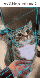 a picture of a cat with the words vcollide wireframe 1 below it