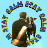 a man holding a cow with the words calm stay in the circle around him
