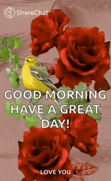 Good Morning Flowers GIF - Good Morning Flowers Have A Great Day GIFs
