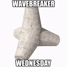 Wavebreaker Wednesday Tetrapod GIF - Wavebreaker Wednesday Tetrapod Yergo GIFs