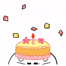 cat animal celebrate birthday ceremony