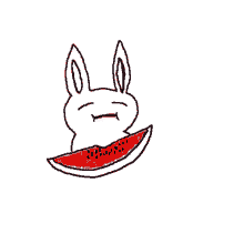chewing rabbit bunny watermelon fruit