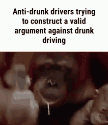 drunk driving monkey