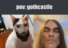Gothcastle Pov GIF - Gothcastle Pov GIFs