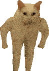 a cat with muscles on its arms and legs standing on a white background