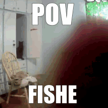 a picture of a cat in a chair with the words pov fishe above it