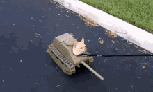 Tank Dog GIF - Tank Dog GIFs