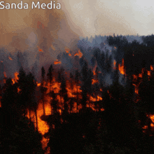 a photo of a forest fire is taken by sanda media