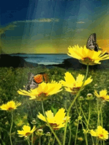 Flowers Butterly GIF - Flowers Butterly GIFs