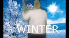 Erb Winter GIF - Erb Winter 01lego Fan GIFs