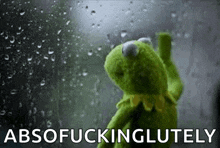 kermit the frog is standing in front of a window with rain drops on it and the words absofuckinglutely above him