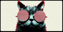 Swirls On Eyes Idc GIF - Swirls On Eyes Idc Dizzy Cat GIFs