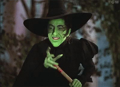 Wicked Witch The Wizard Of Oz GIF - Wicked Witch The Wizard Of Oz Evil GIFs