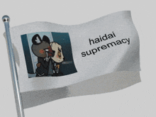 a flag with haidai supremacy on it