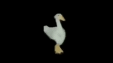 Goose Dance Birb Dance GIF - Goose Dance Birb Dance Ilp GIFs