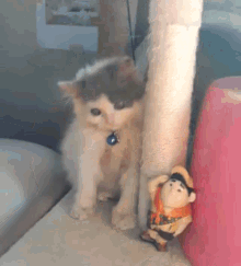 Rusell Cats GIF - Rusell Cats Kittens GIFs