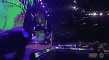a female wrestler is walking down a staircase on a stage at a wrestling event .