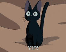 Happy Excited GIF - Happy Excited Cat GIFs