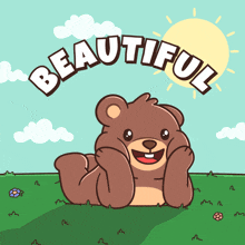 a cartoon of a teddy bear laying in the grass with the words beautiful above it