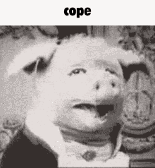 Cope Pig GIF - Cope Pig Nightmare GIFs