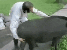 a man in a white coat is standing next to a black cow .