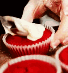 cupcake red velvet cream dessert