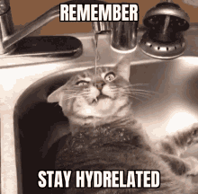 Hydrelated Hydrated GIF - Hydrelated Hydrated Water GIFs