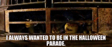 Tmnt Michelangelo GIF - Tmnt Michelangelo I Always Wanted To Be In The Halloween Parade GIFs